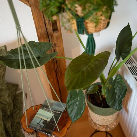 Rooftop Arts&crafts Apartment, Zentral Und Ruhig, 3 Dachterrassen Augsburg