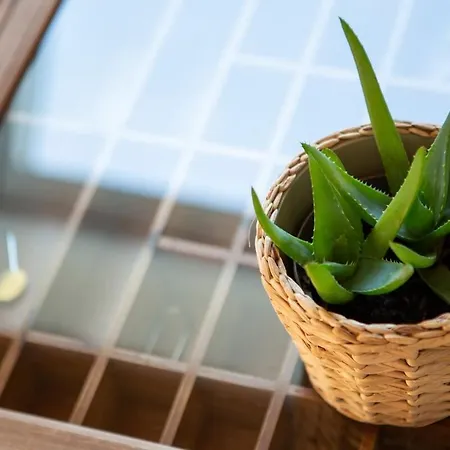 Rooftop Arts&crafts Apartment, Zentral Und Ruhig, 3 Dachterrassen Apartment