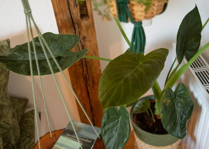 Rooftop Arts&crafts Apartment, Zentral Und Ruhig, 3 Dachterrassen Аугсбург